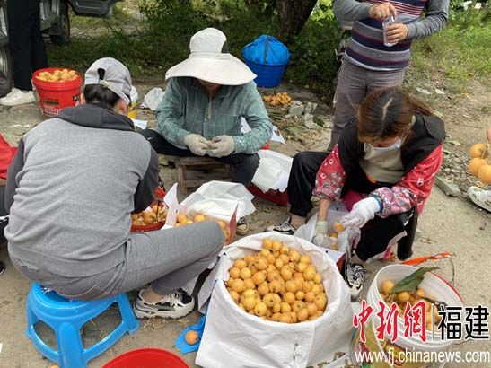 侨乡福清东张“农文旅”带热古镇游