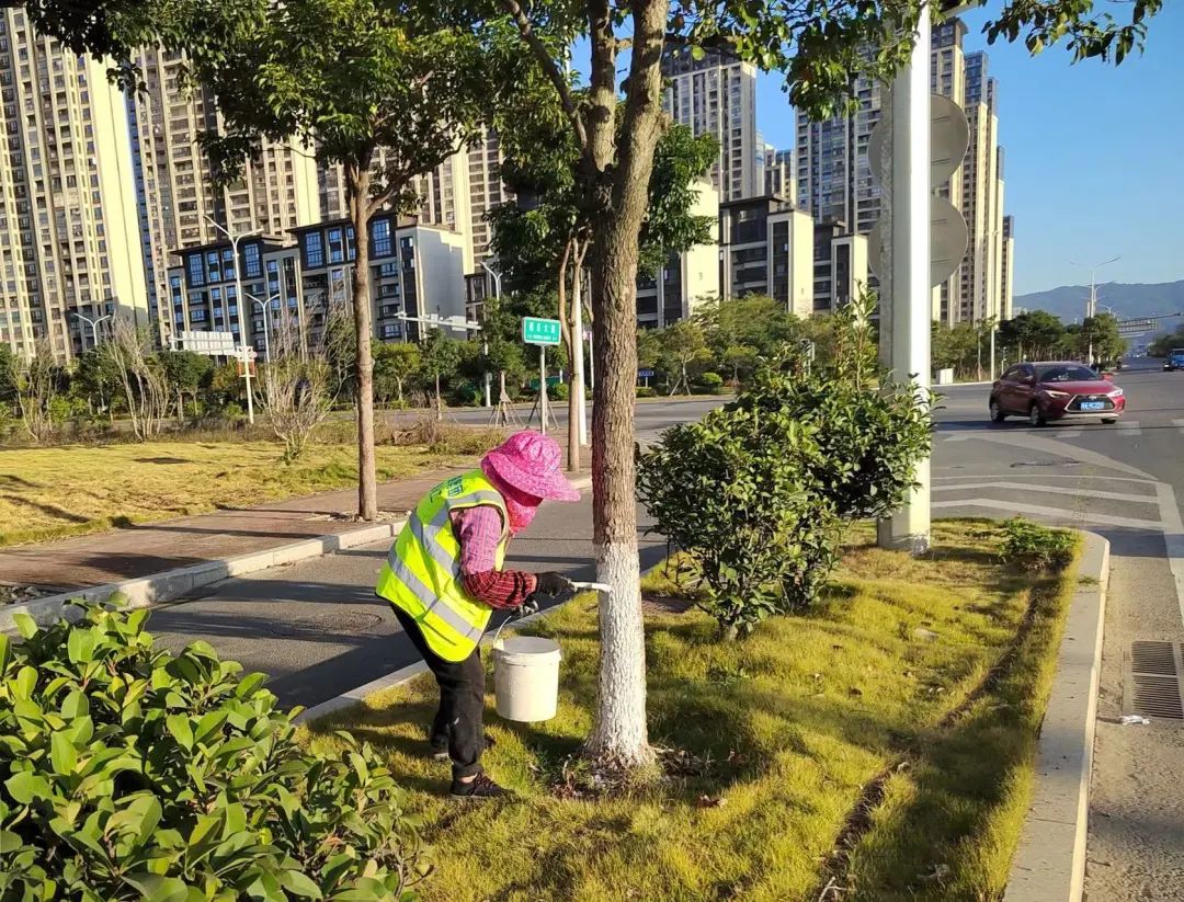 我市全力做好城市园林绿化防寒防冻养护工作