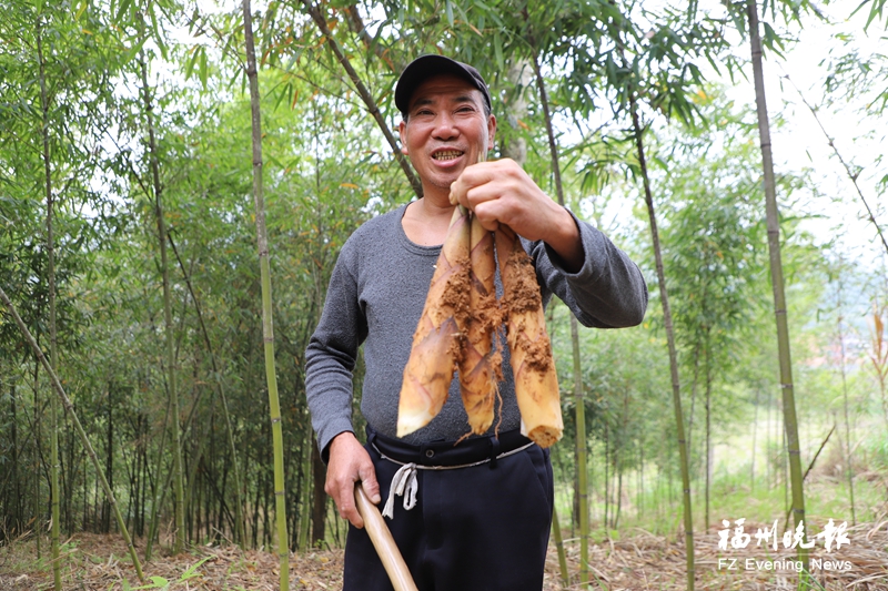 连江蚕豆、春笋清明上市，鲍鱼投苗获央视关注