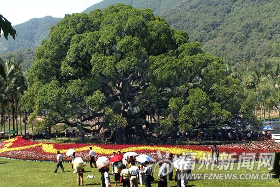 福州建市树市花主题公园　打造升级版“榕之城”