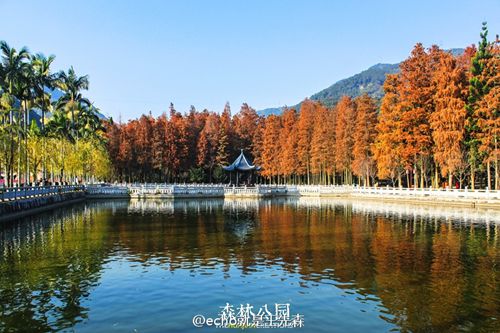 到哪欣赏福州隆冬最美景致？观景微地图带你寻找