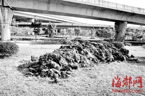 三环鳝溪段倒渣土200吨 福州花木公司花数万清运