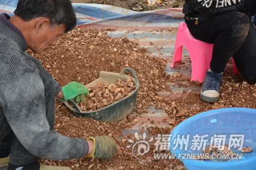 连江发掘新石器时期人类生活遗址　距今已5000年