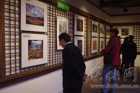 今明两天南后街举办摄影展　市民可免费前往观看