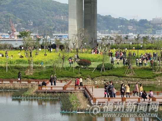 福州市民掀出国赏花热　热门旅游目的地住宿紧张