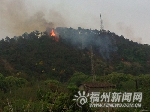 三环金鸡山隧道附近昨日起火　疑与清明扫墓有关