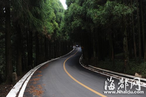 渣土侵袭最拉风山路　鼓宦公路绿化带“很受伤”