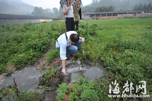 猪场粪水直排大樟溪　环保厅督促属地本月内拆除