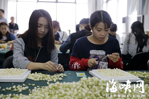 青运会茉莉花饰品，原材料都经过精挑细选