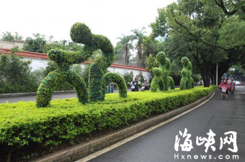 福州市区主要道路 将增5140㎡时花绿化带