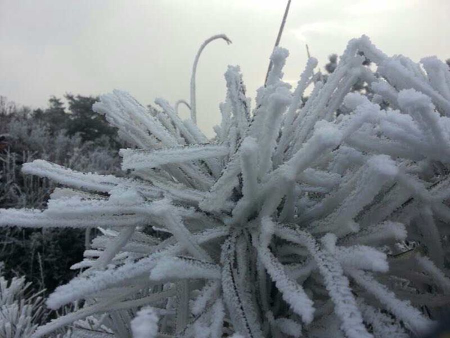 福州：晴冷当道　霜冻登场