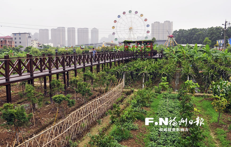 长乐长安村：“公园＋果园”发展特色乡村游