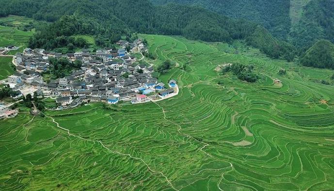 （环境）（4）仲夏梯田景如画