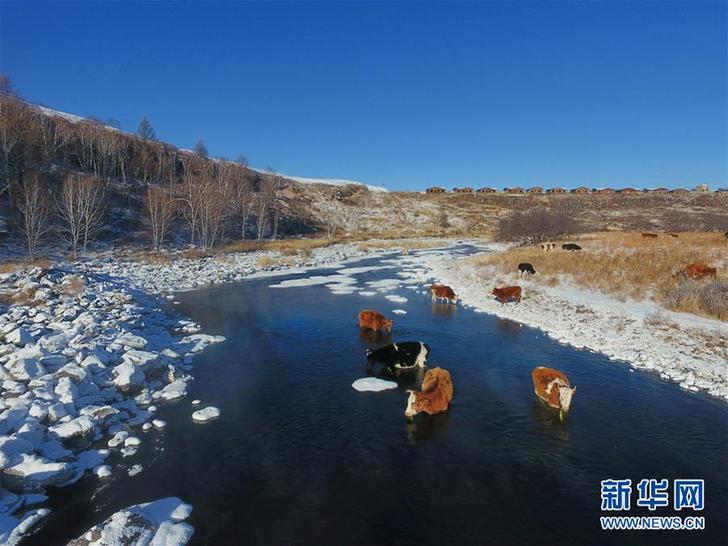 （环境）（1）严寒中的“不冻河”