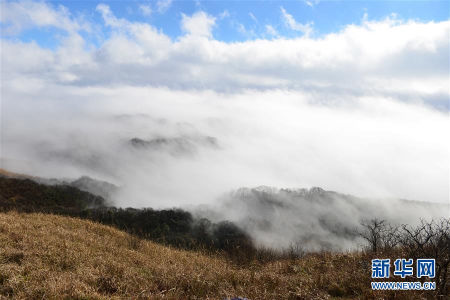 #（环境）（1）贵州苗岭国家地质公园冬景美