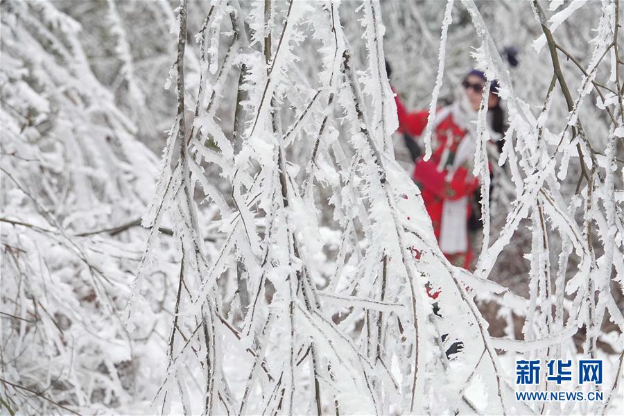 #（环境）（1）贵阳云雾山雪景醉游人