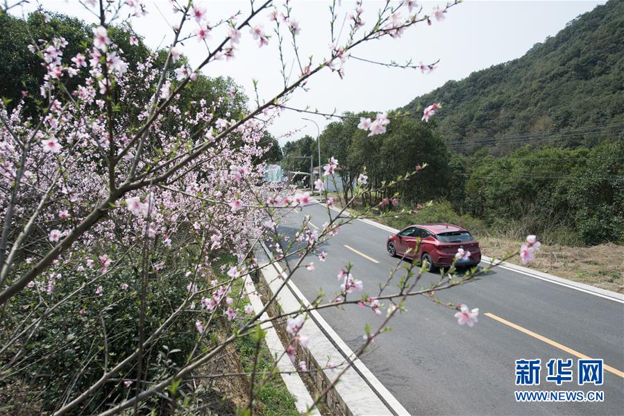 （新时代新气象新作为）（4）“四好农村路”推动“美丽乡村”建设