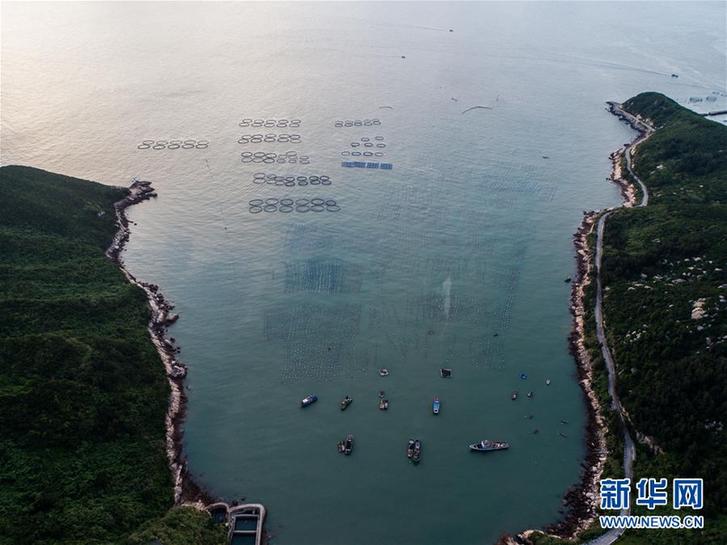 （美丽中国）（9）东海“海上牧场”迎丰收