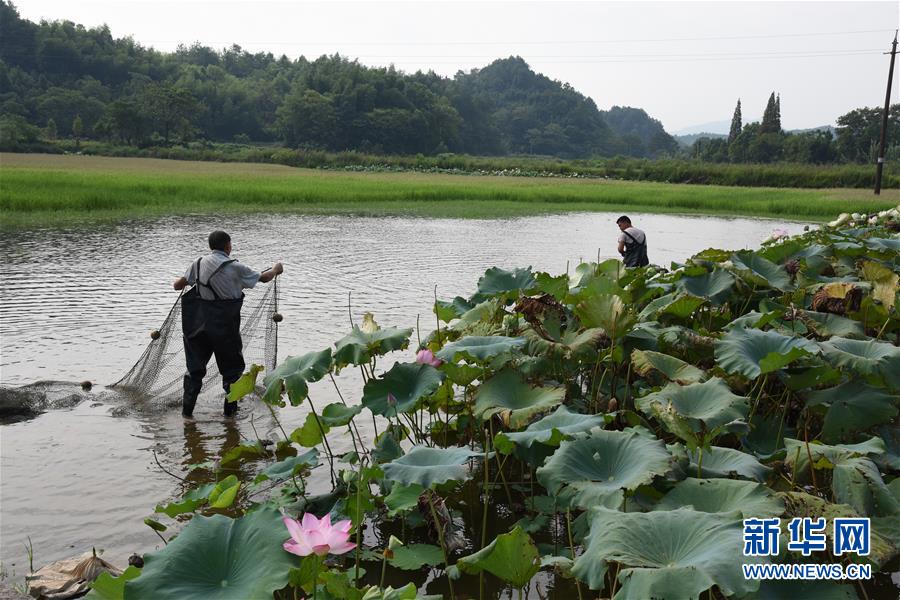 （环境）（3）浙赣闽联手 共护绿水青山