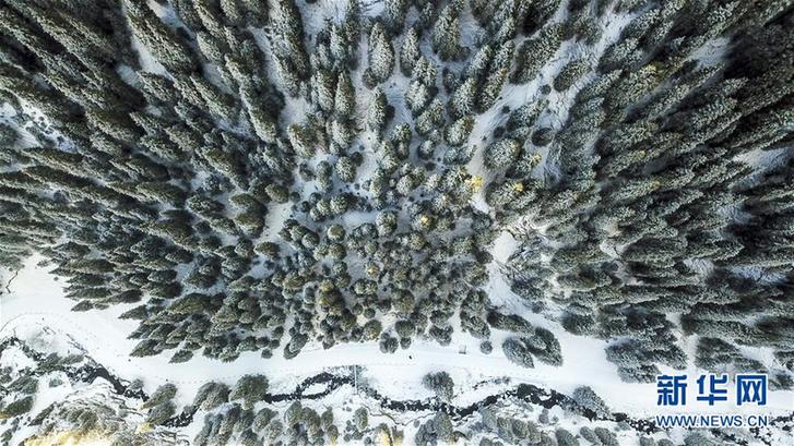 （秋季美丽生态）（1）乌鲁木齐南山雪景美