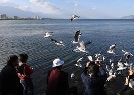 （环境）（1）云南大理：洱海景色秀丽