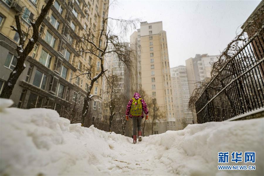 （环境）（1）乌鲁木齐迎来降雪