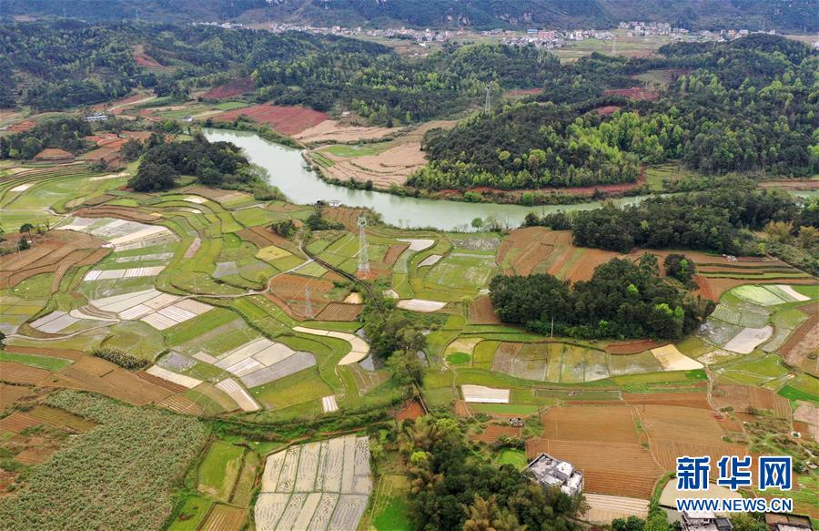 （环境）（2）春到瑶山田景新