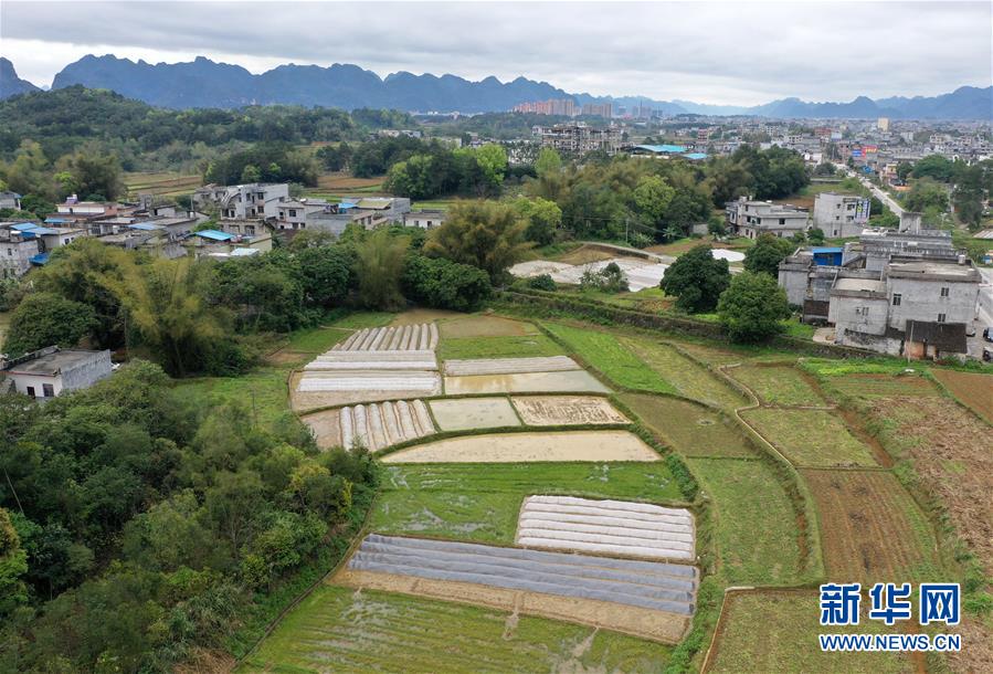 （环境）（4）春到瑶山田景新