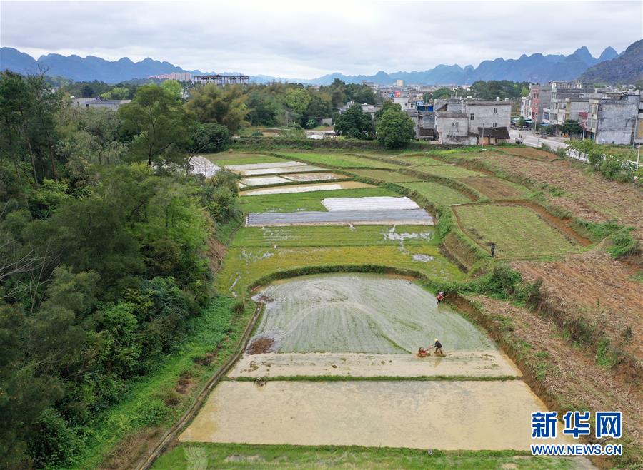 （环境）（5）春到瑶山田景新