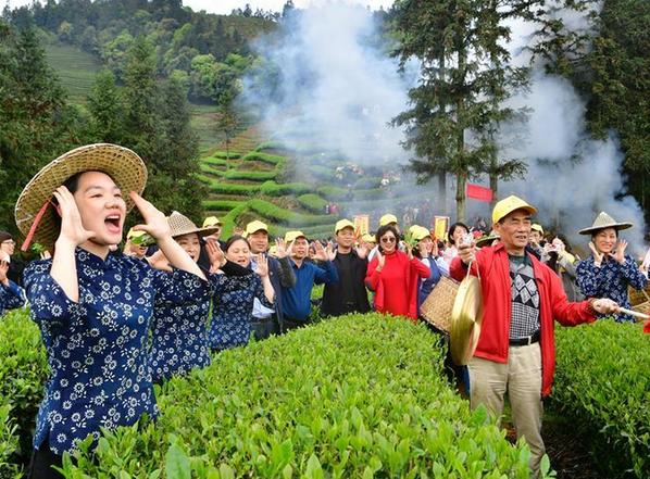 （社会）（2）武夷山：生态茶园 祭茶喊山