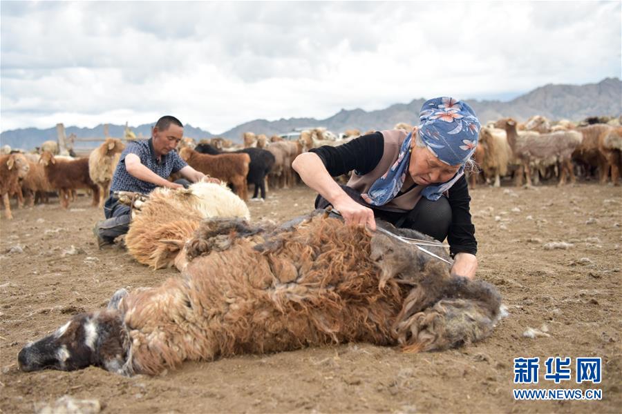 （图片故事）（13）走近哈萨克族牧民的转场生活