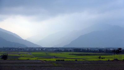 花海盛开旅行台东就是现在（图）