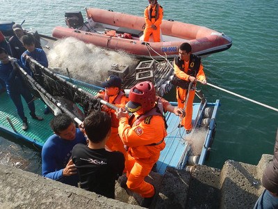 糙齿海豚误闯渔港 伤势严重幸被救起