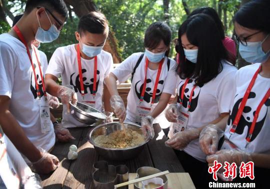 两岸大学生齐聚福州学做大熊猫“窝窝头”