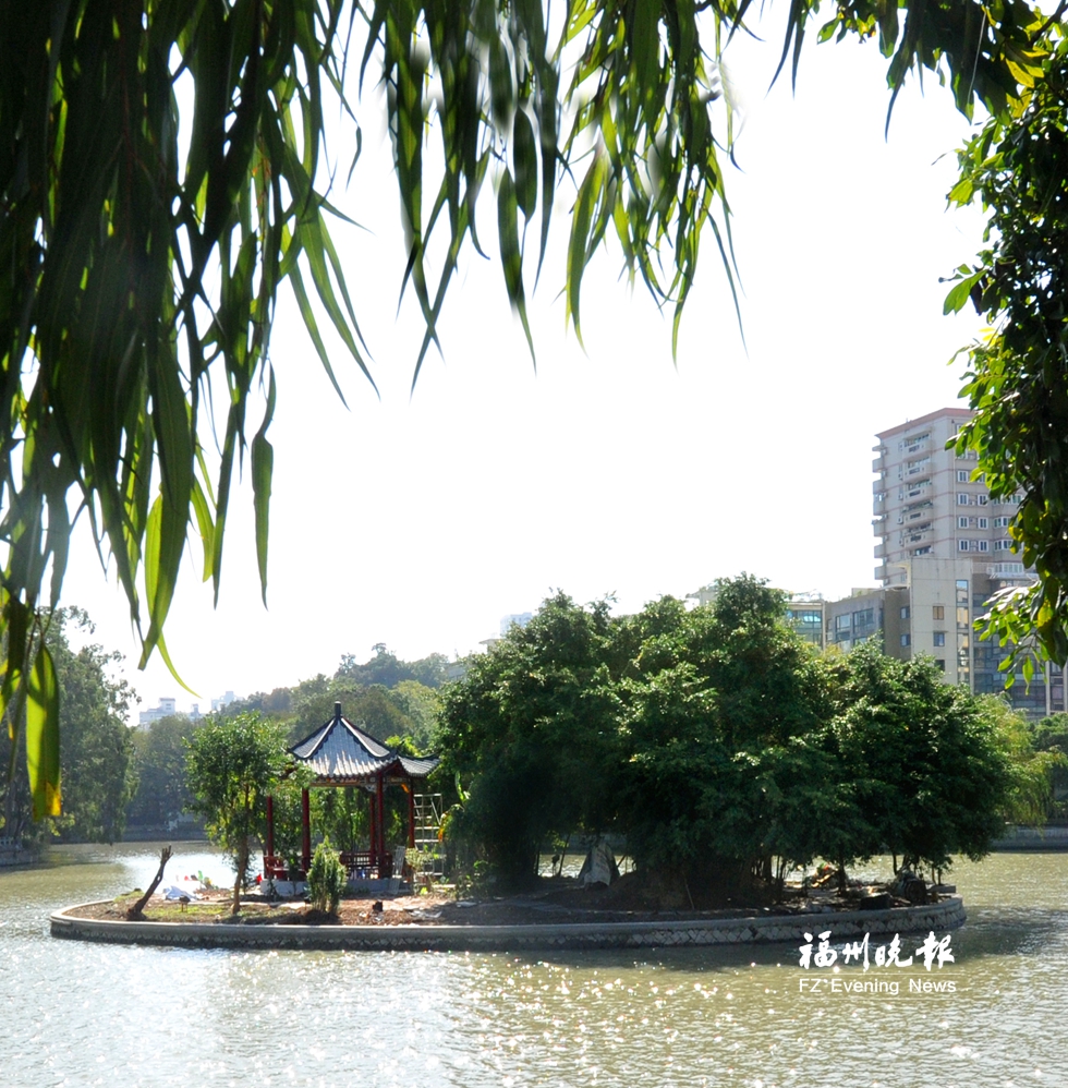 西湖“湖心春雨”元旦重现　湖心岛成白鹭栖息地